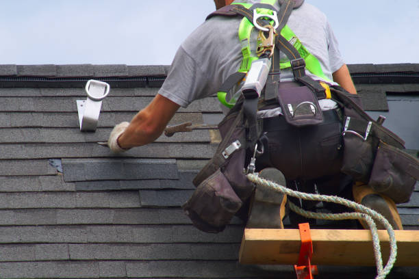 Best Roof Restoration Services  in Haines, AK