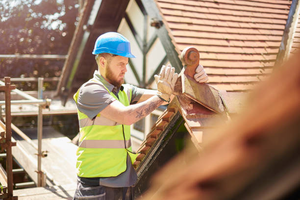 Best Metal Roofing Contractor  in Haines, AK