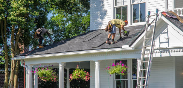Best Roof Repair Services  in Haines, AK