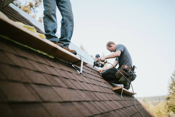 Best Flat Roof Repair Services  in Haines, AK