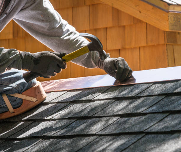 Best Emergency Roof Repair  in Haines, AK